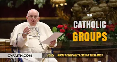Exploring the Unity and Purpose Behind Catholic Groups Today