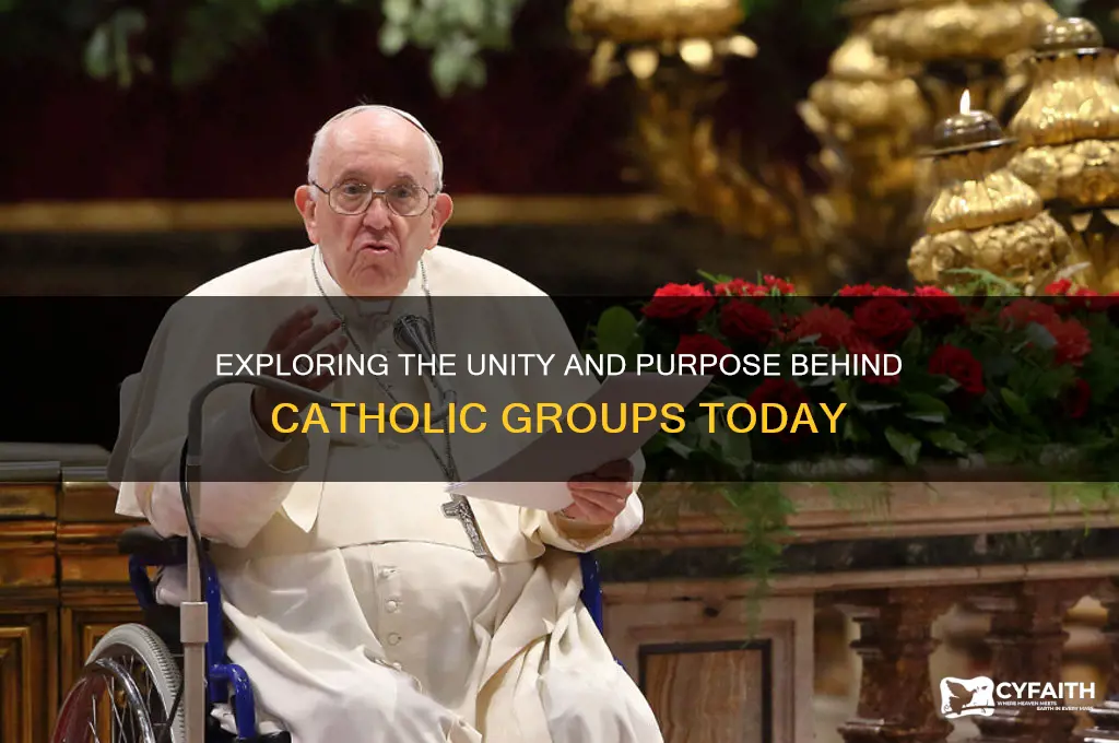 why catholic groups