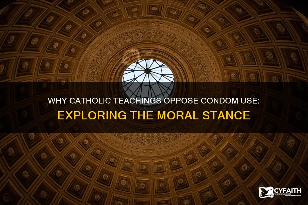 why catholic hate condom