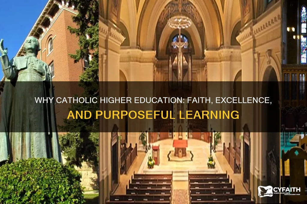 why catholic higher education