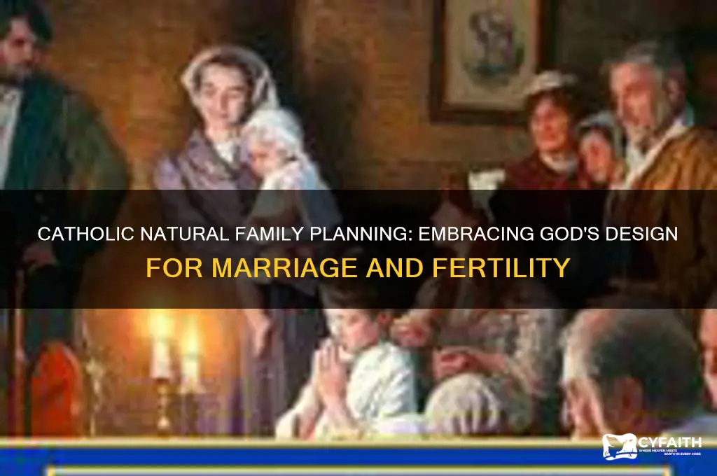 why catholic natural family planning