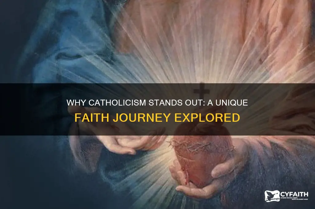 why catholic over other religions