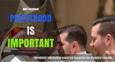 The Catholic Priesthood: A Sacred Pillar of Faith and Service