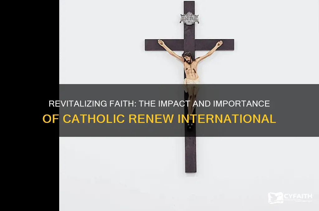 why catholic renew international