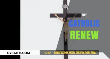 Why Catholic Renewal Matters: Revitalizing Faith and Community Today