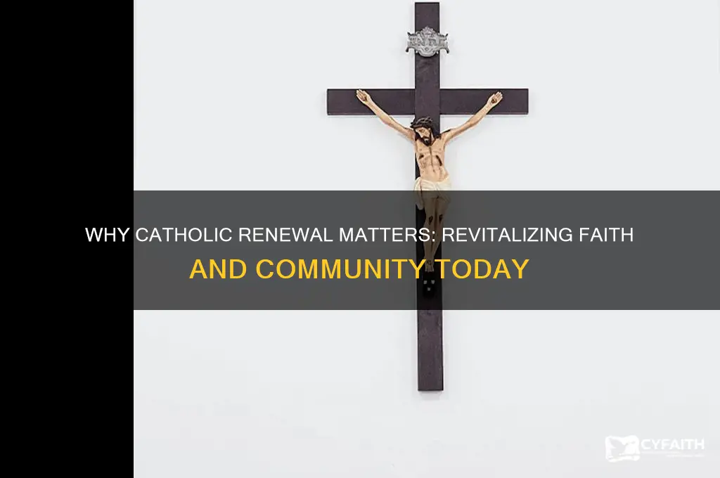 why catholic renew