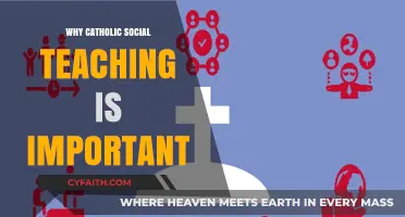 Catholic Social Teaching: A Vital Compass for Justice and Charity