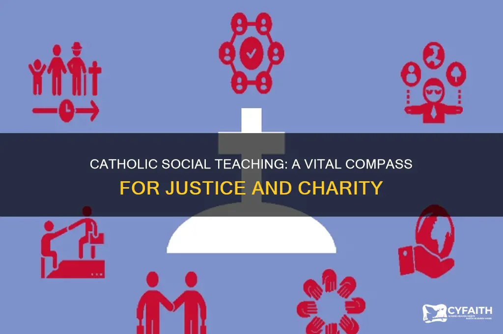 why catholic social teaching is important