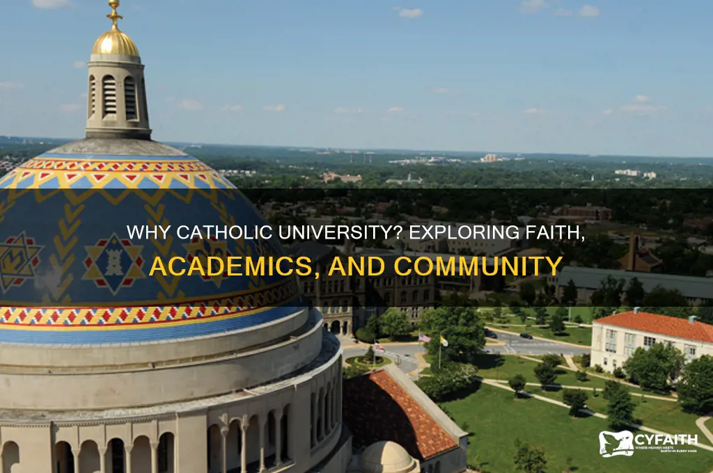why catholic university essay