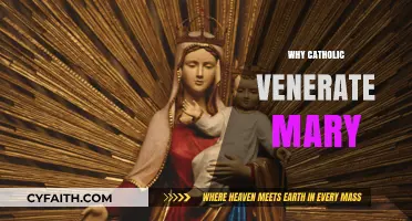 Understanding Catholic Devotion: Why Mary Holds a Sacred Place