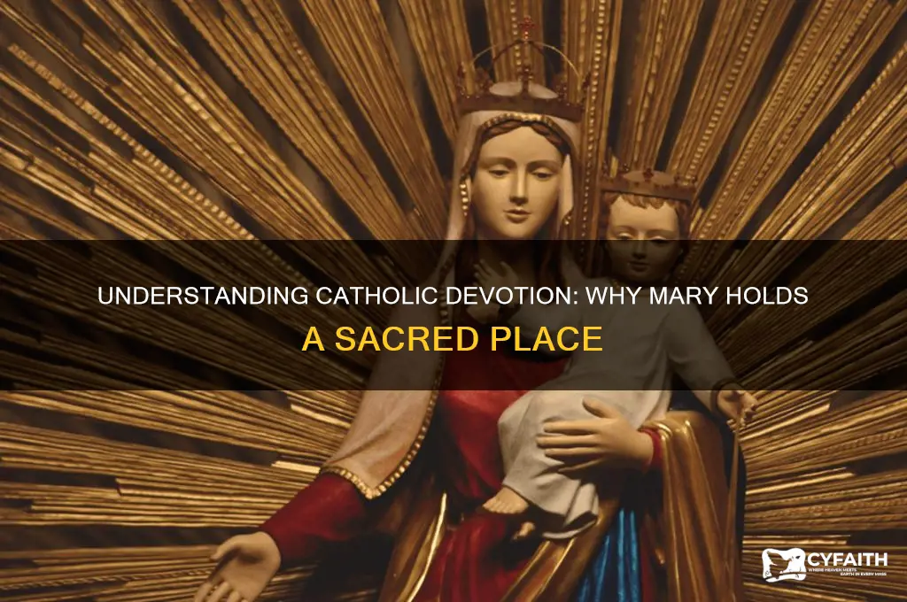 why catholic venerate mary