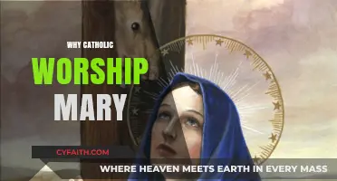 Understanding the Catholic Devotion to Mary: A Sacred Tradition Explained