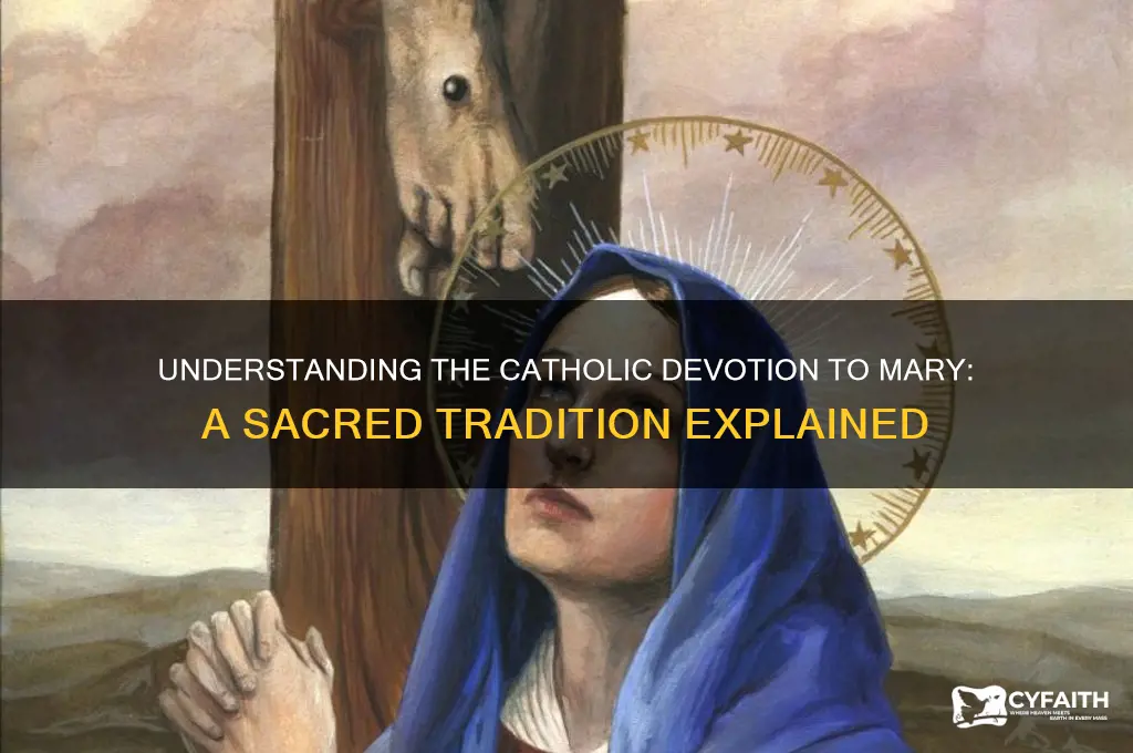 why catholic worship mary