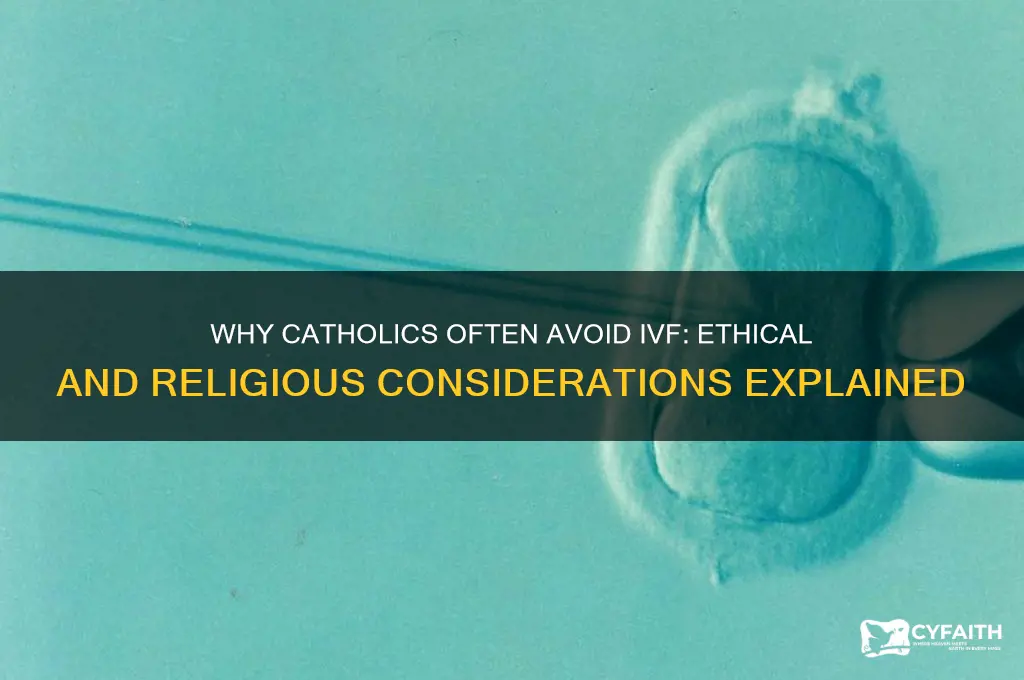 why catholics 00 ivf