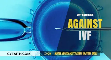 Why Catholics Oppose IVF: Exploring Moral and Theological Concerns