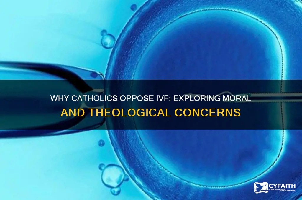 why catholics against ivf