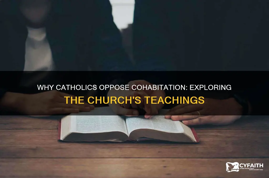 why catholics are against cohabitating