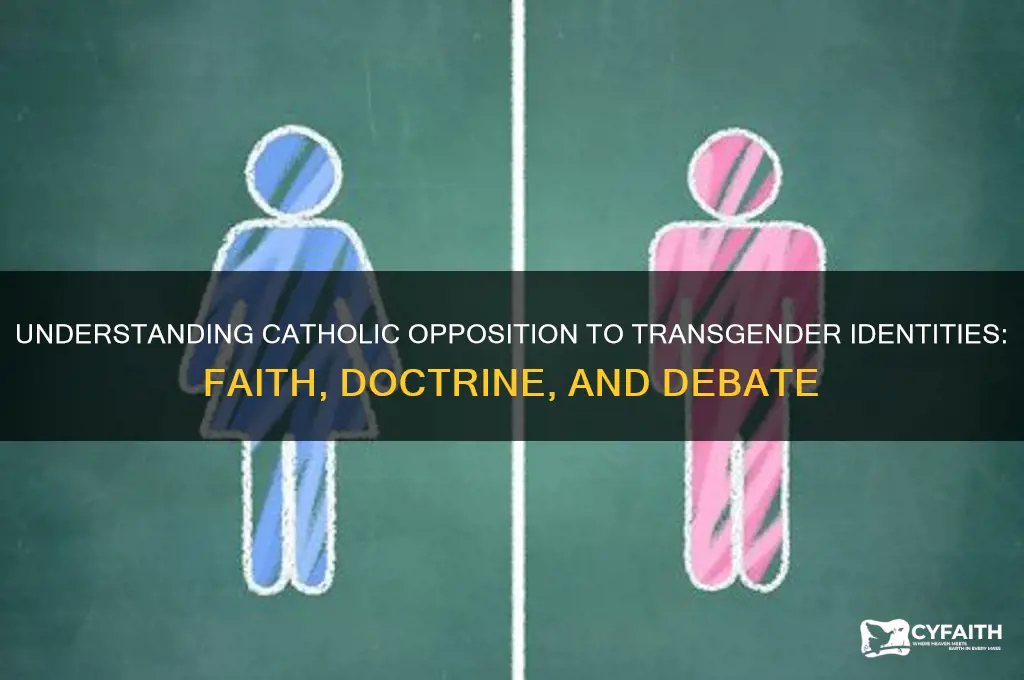 why catholics are against transgender people