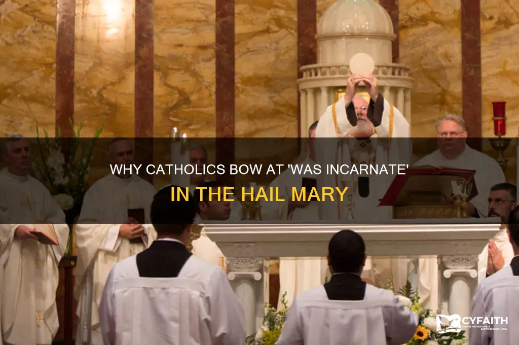 why catholics bow at words was incarnate of viring mary