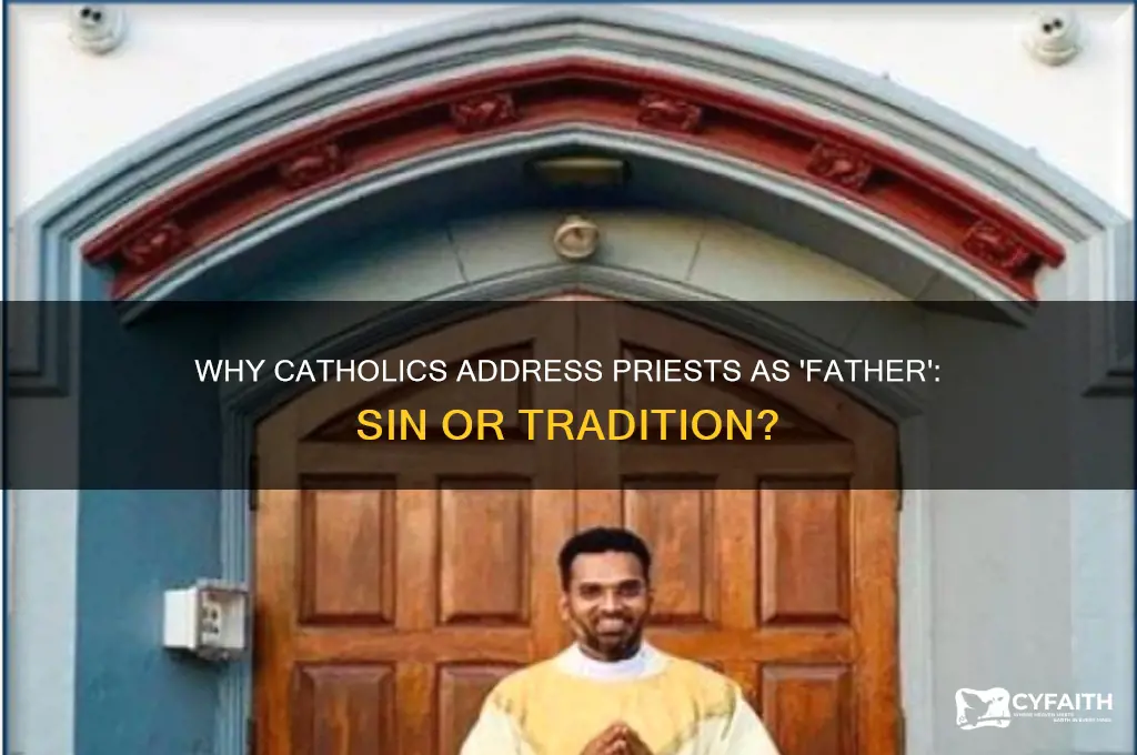 why catholics call father sin
