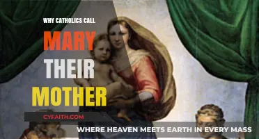 Mary, Mother of God: Understanding Catholics' Devotion to the Virgin