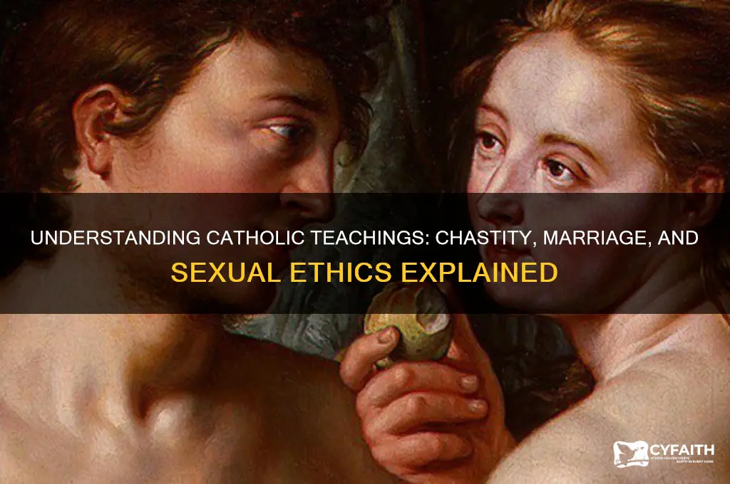 why catholics cant have sex