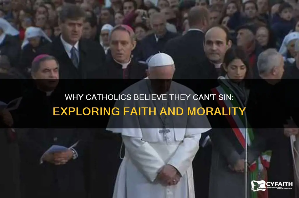 why catholics cant sinf