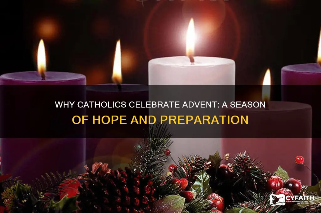 why catholics celebrate advent