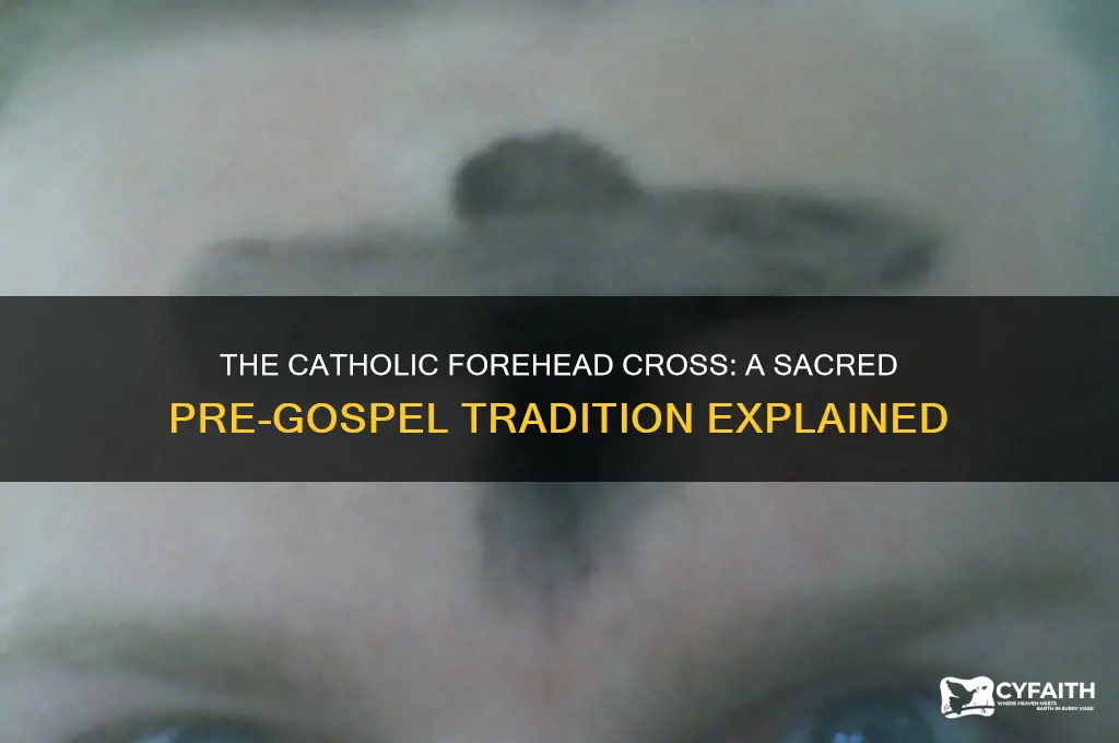 why catholics cross their forehead before gospil is read