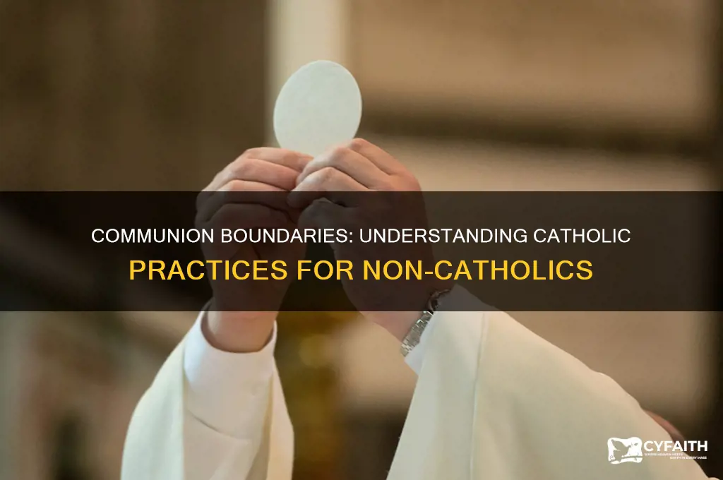 why catholics do not give communion to other religions