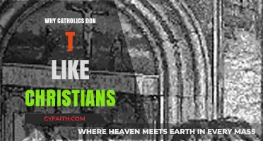 Why Catholics Often Misunderstand Protestant Christian Beliefs and Practices