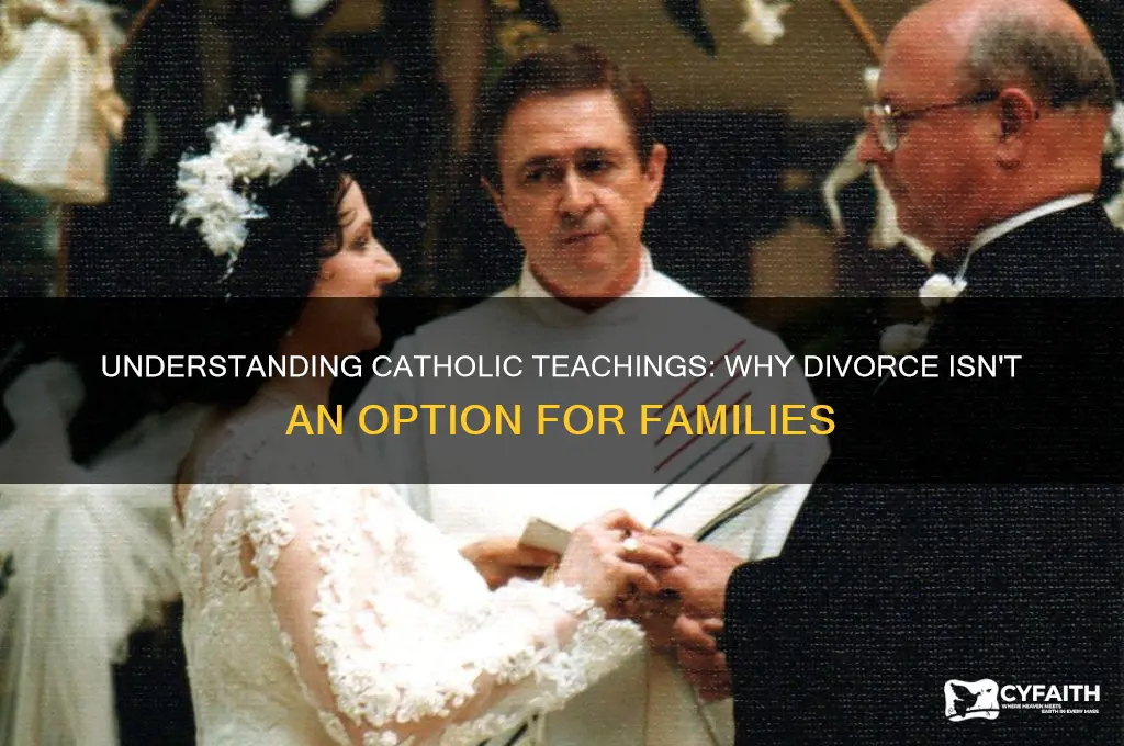 why catholics dont agree with divorce for kids