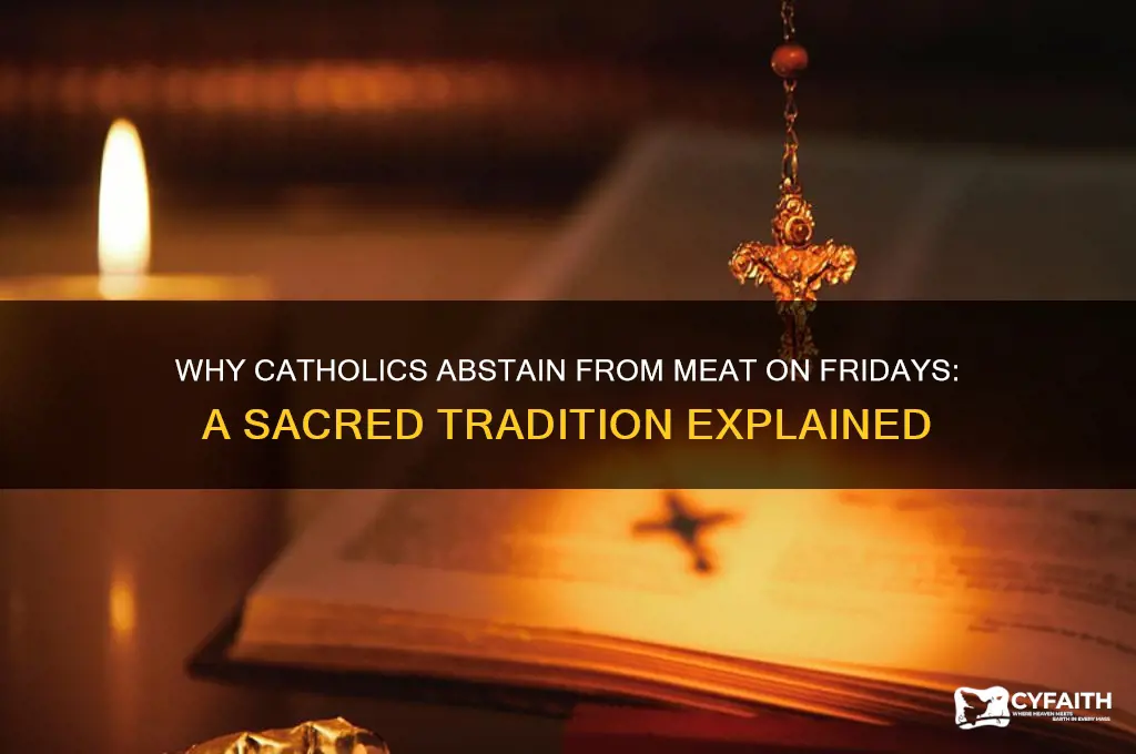 why catholics don