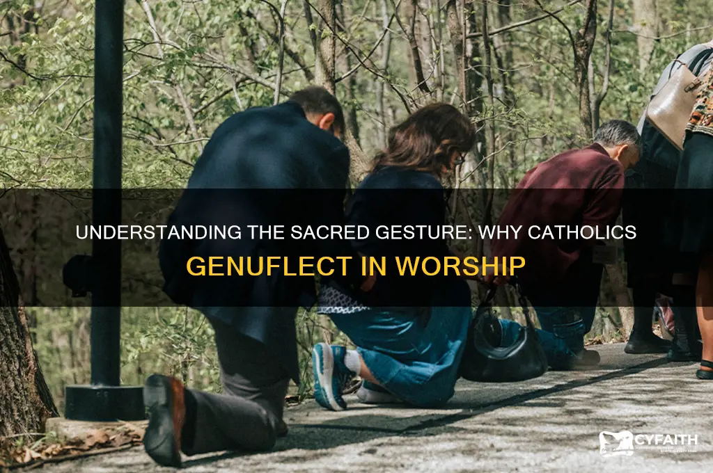 why catholics genuflect