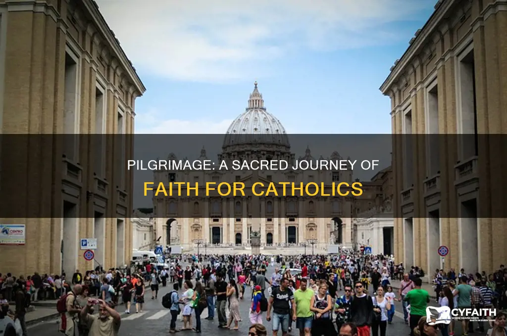 why catholics go on pilgrimage