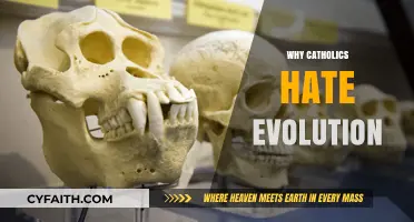 Why Catholics Often Reject Evolution: Faith vs. Science Explained