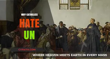 Why Catholics Often Criticize the UN: Exploring Historical and Moral Tensions