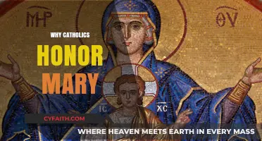 Honoring Mary: Understanding Catholic Devotion to the Mother of God