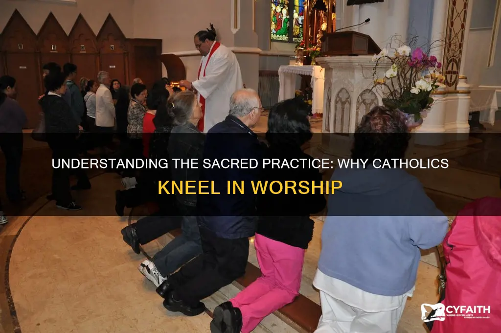 why catholics kneel so much