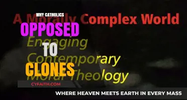 Catholic Opposition to Cloning: Ethical, Moral, and Theological Concerns Explored