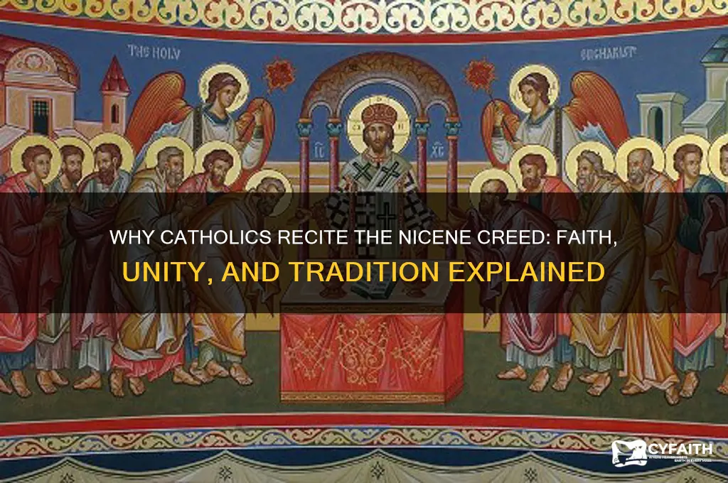 why catholics say the nicene creed