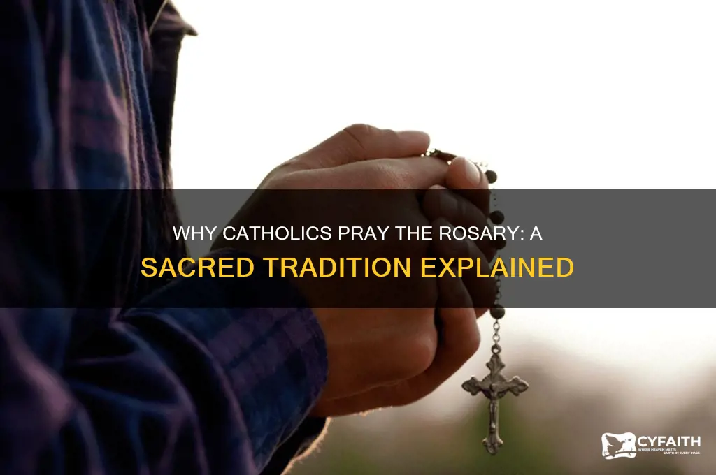 why catholics say the rsoary