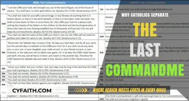 Understanding the Catholic Division of the Final Commandment: Insights and Reasons