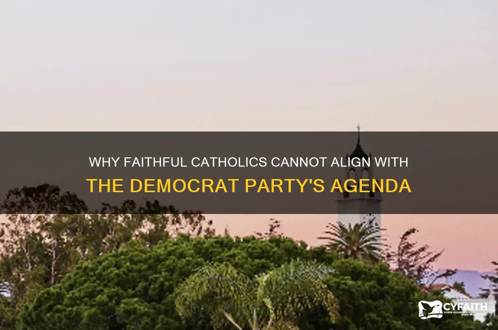 why catholics should not vote democrat