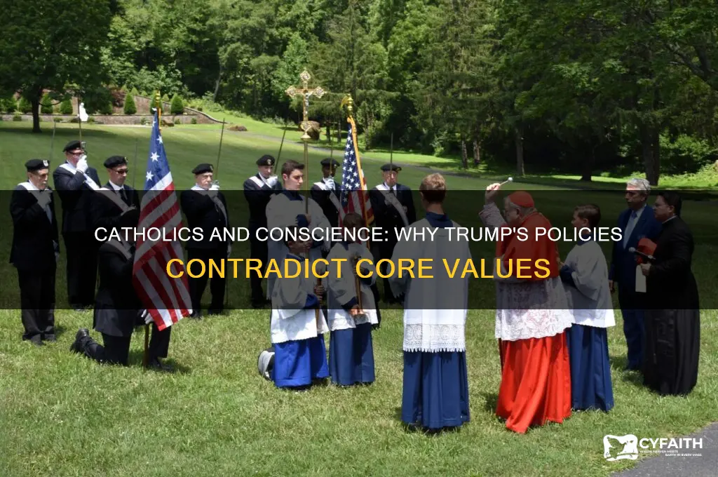 why catholics should not vote for trump