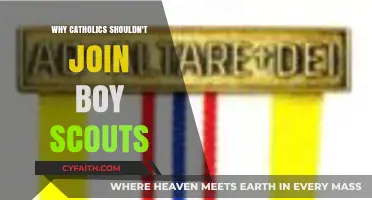 Why Catholic Families Should Reconsider Joining Boy Scouts Today