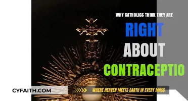 Why Catholics Believe Their Contraception Stance is Morally Correct
