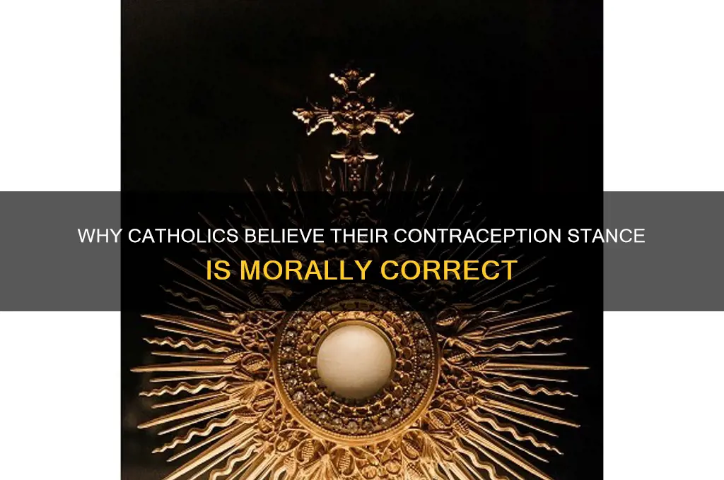 why catholics think they are right about contraception