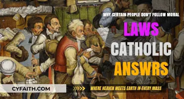 Understanding Why Some Reject Catholic Moral Laws: Insights and Reflections