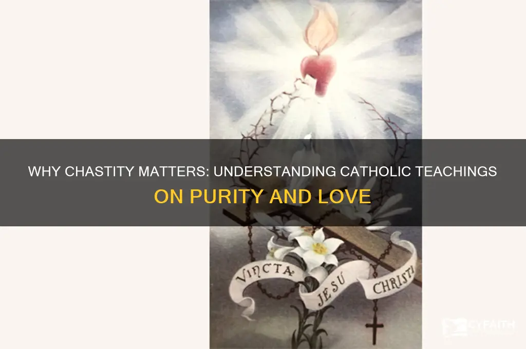 why chastity catholic